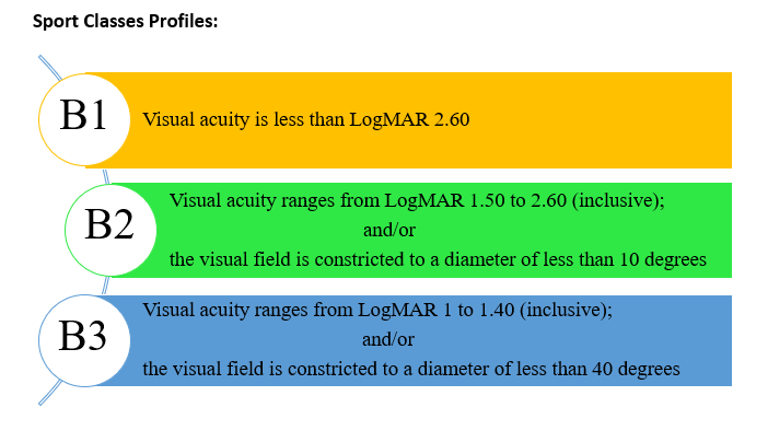 B1: Visual acuity is less than LogMAR 2.60
B2: Visual acuity ranges from LogMAR 1.50 to 2.60 (inclusive); and/or the visual field is constricted to a diameter of less than 10 degrees.
B3: Visual acuity ranges from LogMAR 1.50 to 2.60 (inclusive); and/or the visual field is contricted to a diameter of less than 40 degrees. 