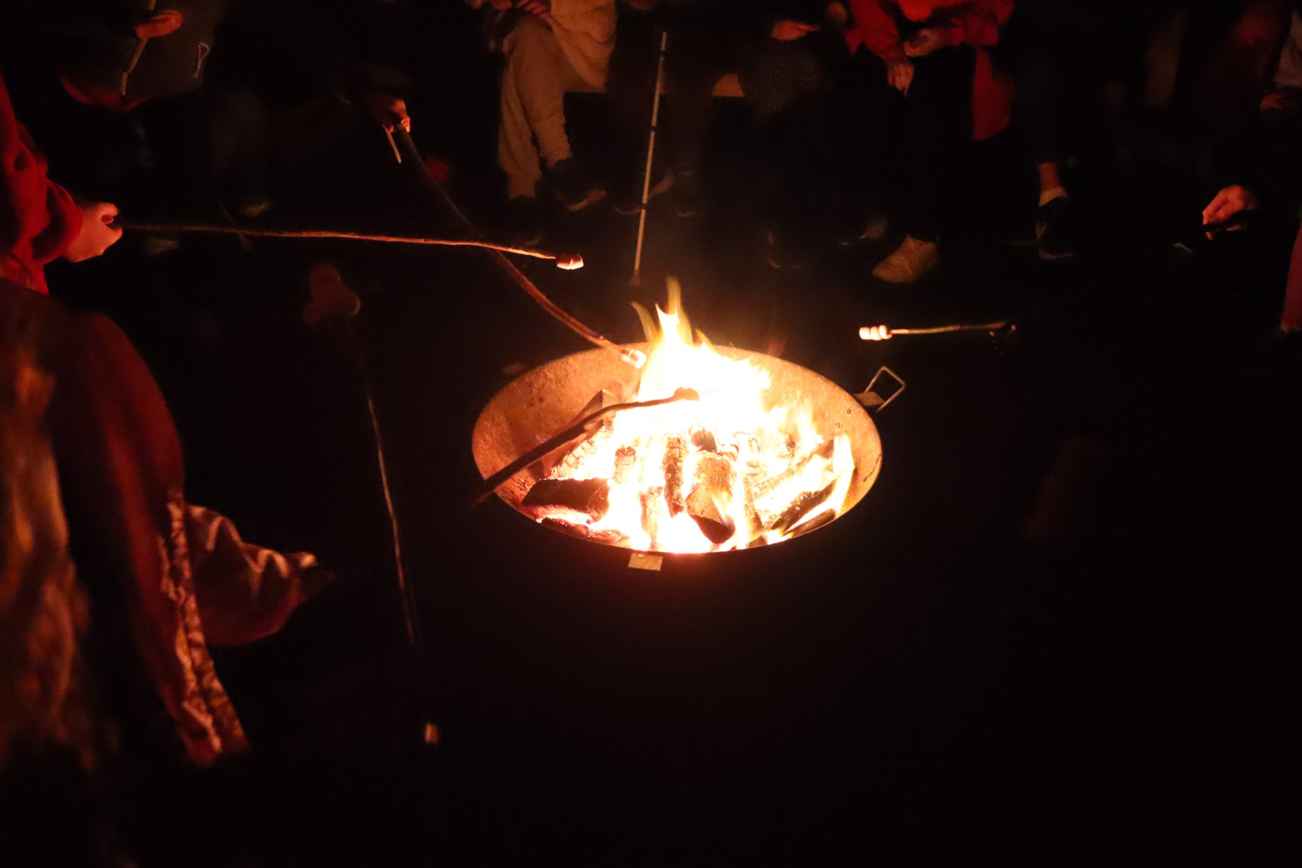 Marshmallows on sticks being held over a camp fire